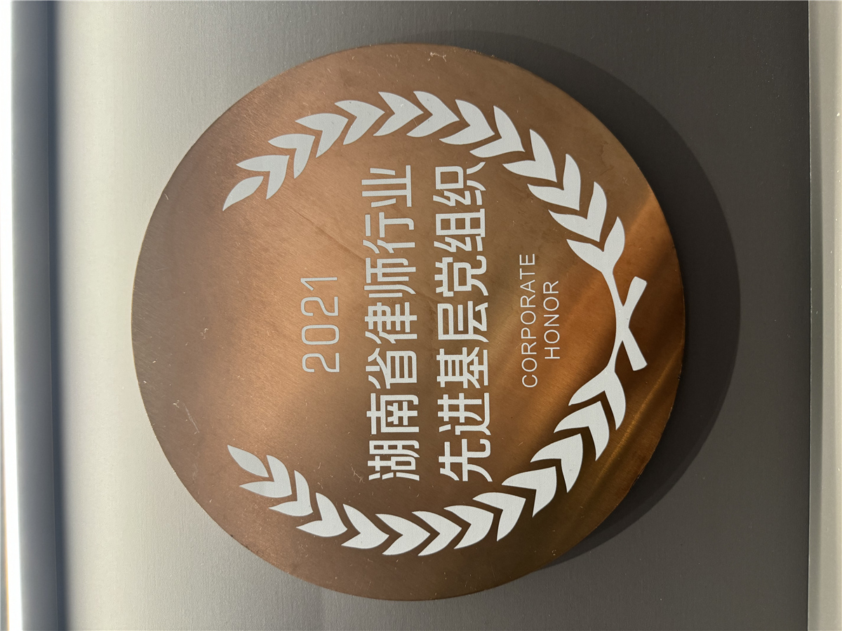 2021湖南省律师行业先进基层党组织